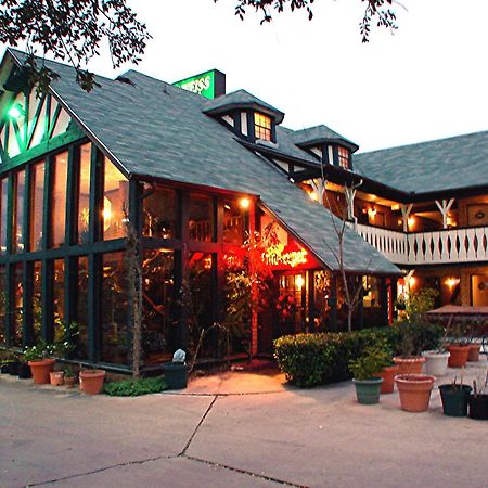 Edelweiss Inn นิวบราวน์เฟลส์ ภายนอก รูปภาพ